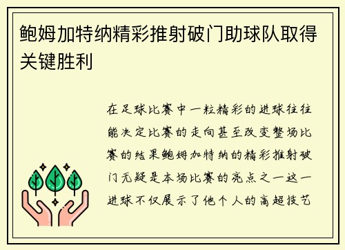 鲍姆加特纳精彩推射破门助球队取得关键胜利